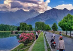 Srinagar Local Sightseeing